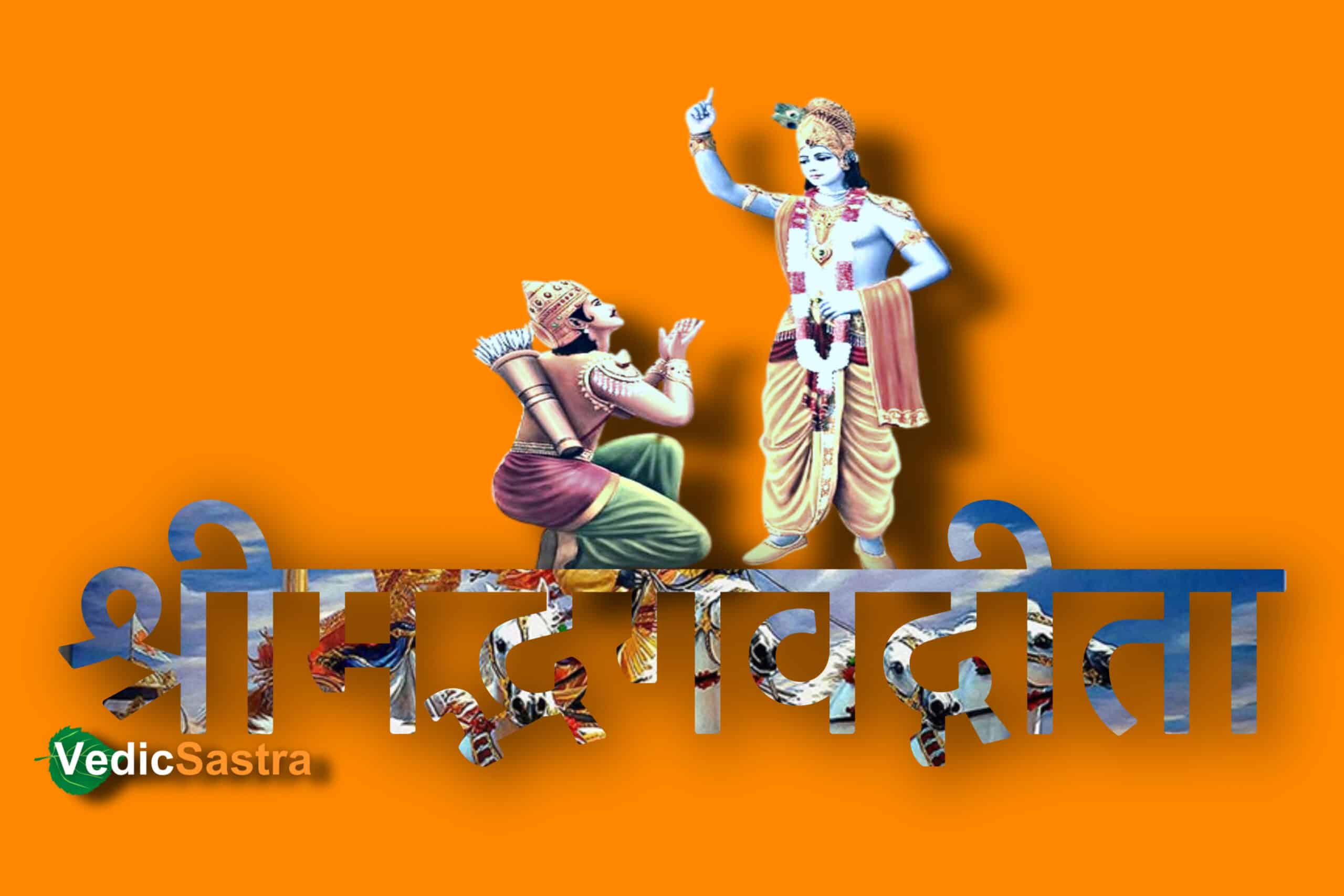 Bhagwat Geeta in Hindi by Vedicsastra
